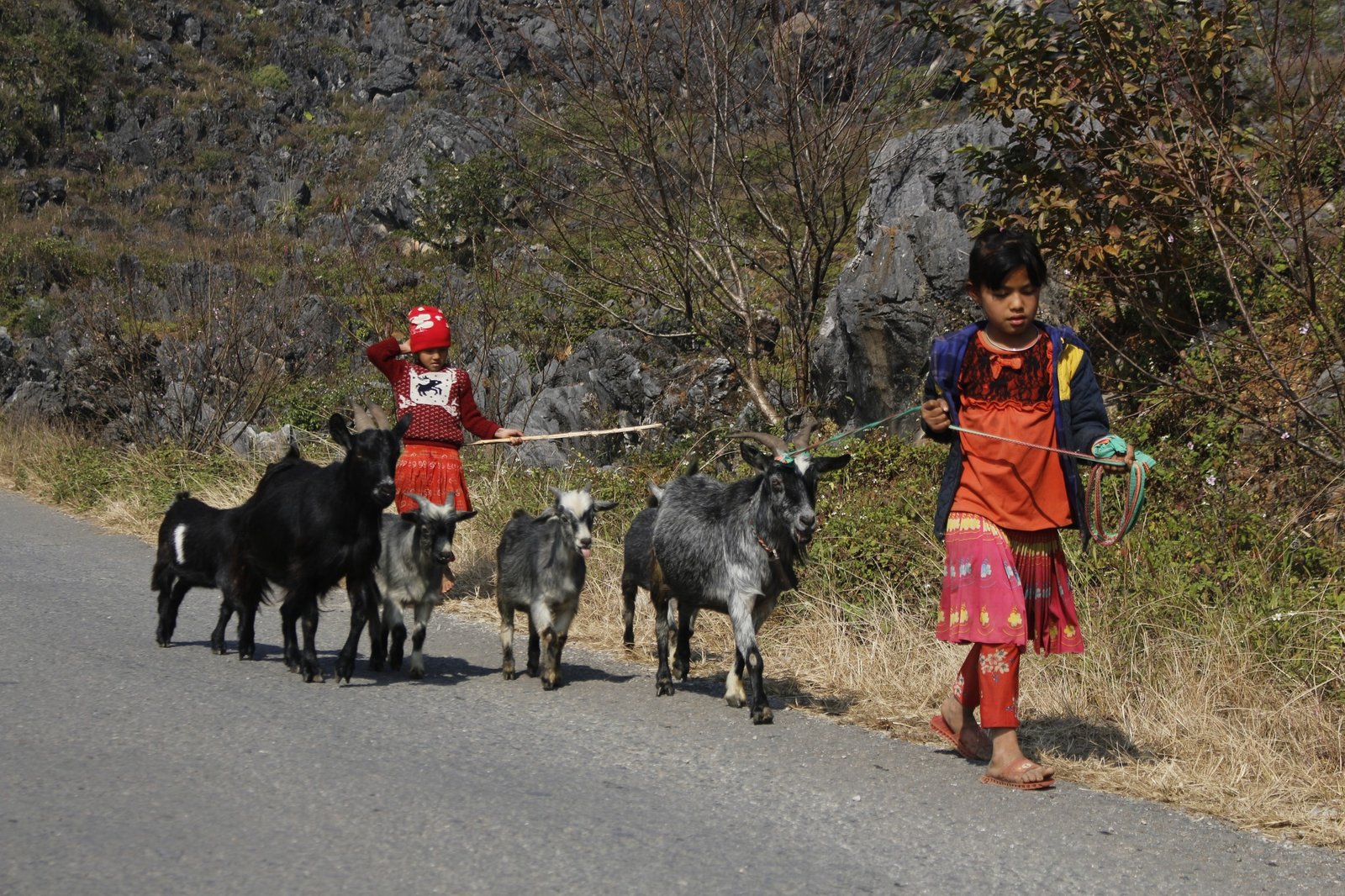 The Soul of the North: Why a Ha Giang E-Bike Tour with a Local Guide is the Gold Standard